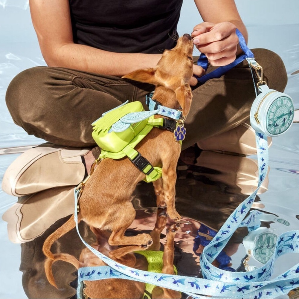 Loungefly Peter Pan Tinker Bell Mini Backpack Pet Harness and leash set